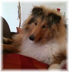 Ayk von Fam. Schumacher