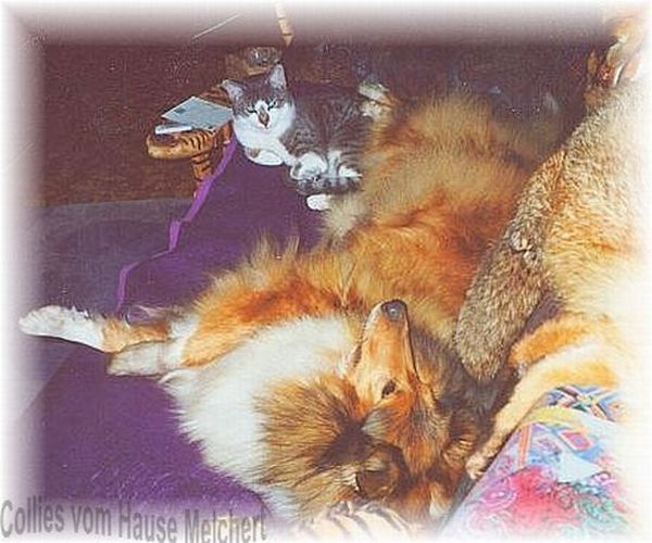 Miss Marple und Balou