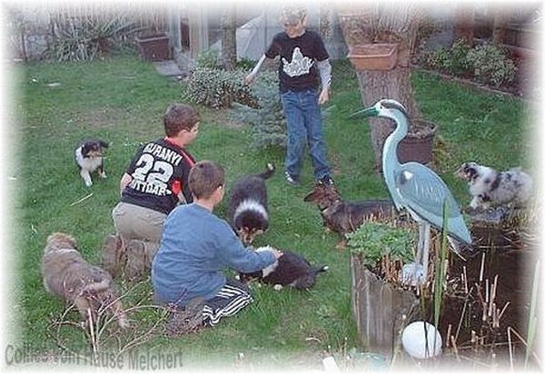 Kinder und Welpen