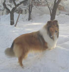 Ubangi von Frau Kreschischnik