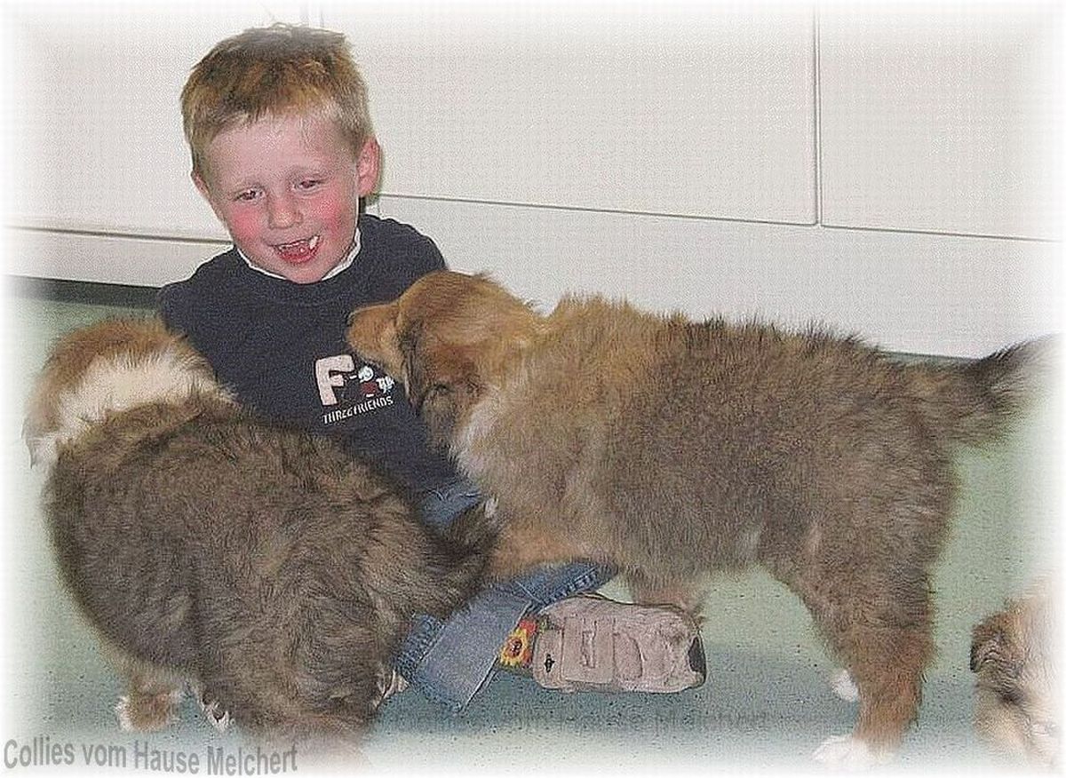 Kind mit Welpen
