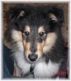 Jacko von Fam. Schemnonek