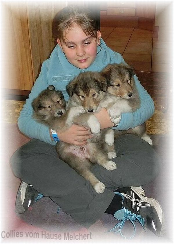 ein Arm voller Lassie