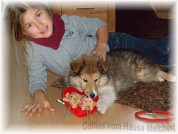colliefreunde