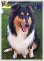 Josie von Fam. Schneider