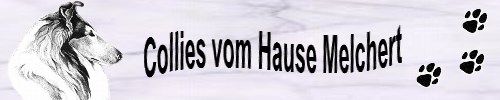 Melchert Collies FCI rough Collies