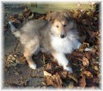 Tamilay von Familie Schneider