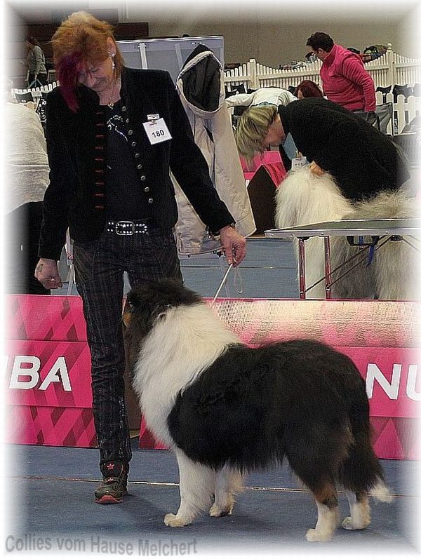 Collierüde Astromelias Opal