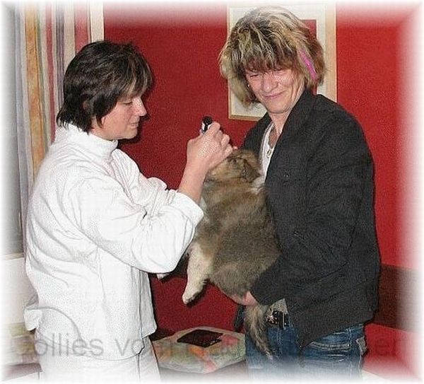 Collie Züchterin B. Melchert