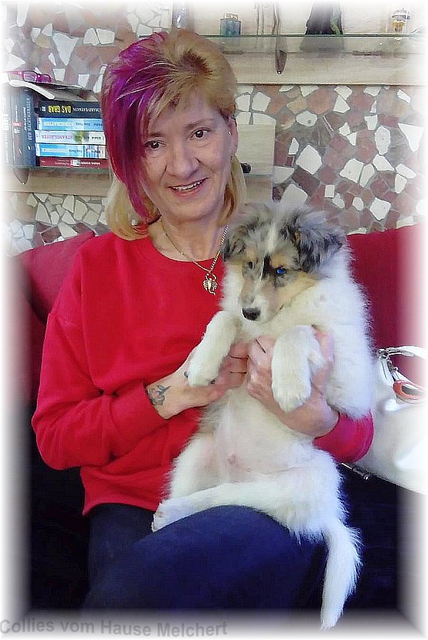 Collie Züchter in Baden Württemberg