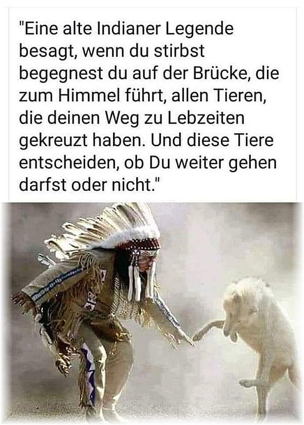 Collies vom Hause Melchert in Baden Württemberg