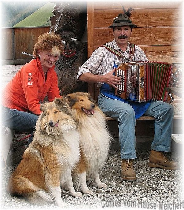 collies vom Hause Melchert in Württemberg
