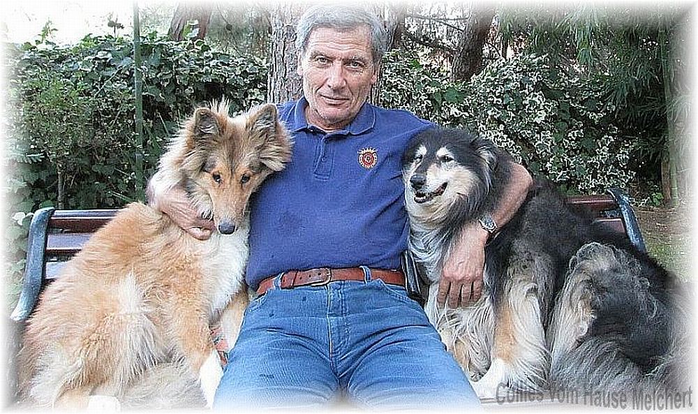 Dr. Bozkurt und Collies