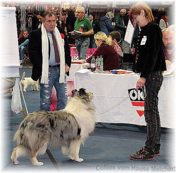 Collie Züchter vom Hause Melchert